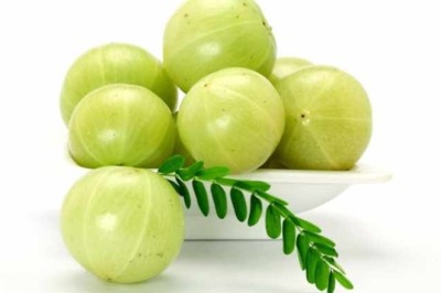 มะขามป้อม สรรพคุณและประโยชน์