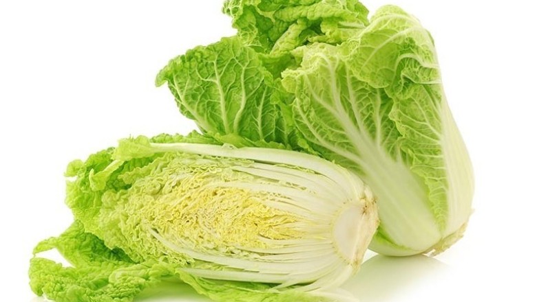 ผักกาดขาว สรรพคุณและประโยชน์