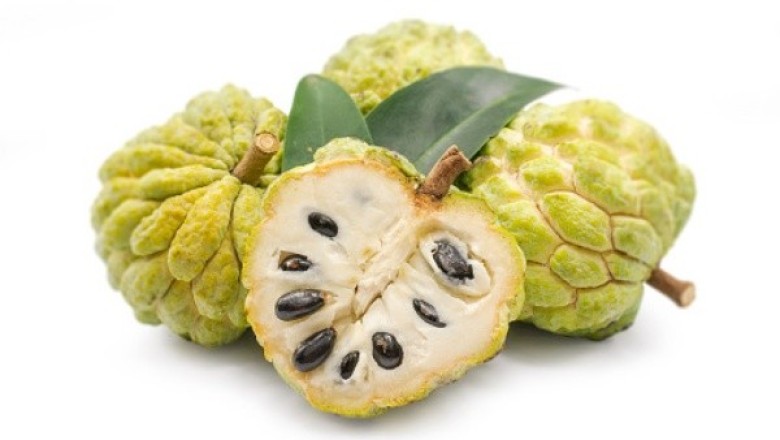 น้อยหน่า สรรพคุณและประโยชน์