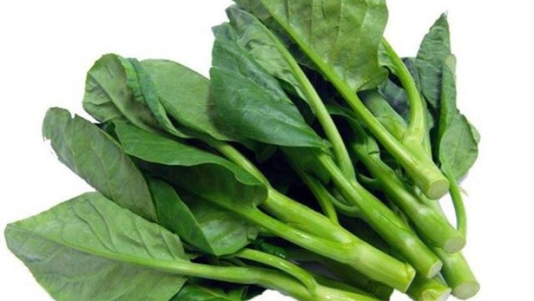 ผักคะน้า สรรพคุณและประโยชน์