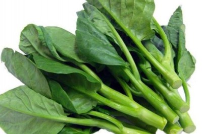 ผักคะน้า สรรพคุณและประโยชน์