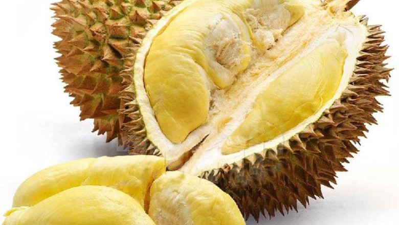 ทุเรียน สรรพคุณและประโยชน์
