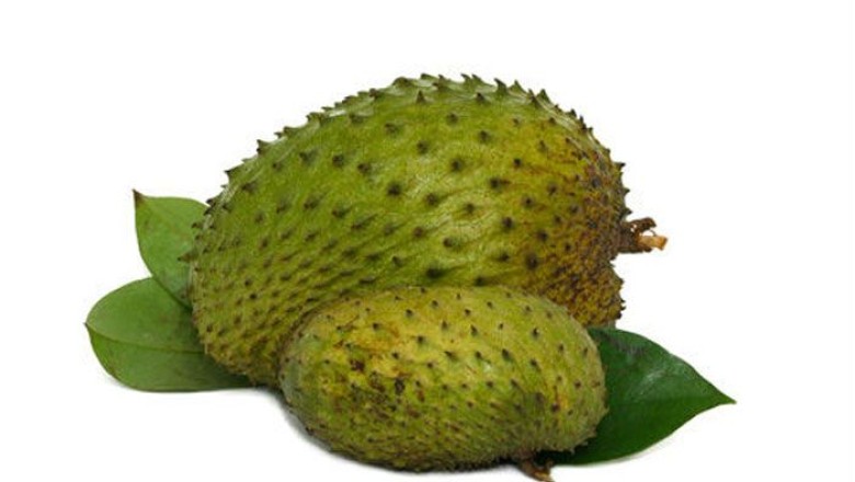 ทุเรียนเทศ สรรพคุณและประโยชน์