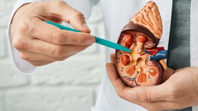 ไตวายโรคร้ายที่พึงระวัง