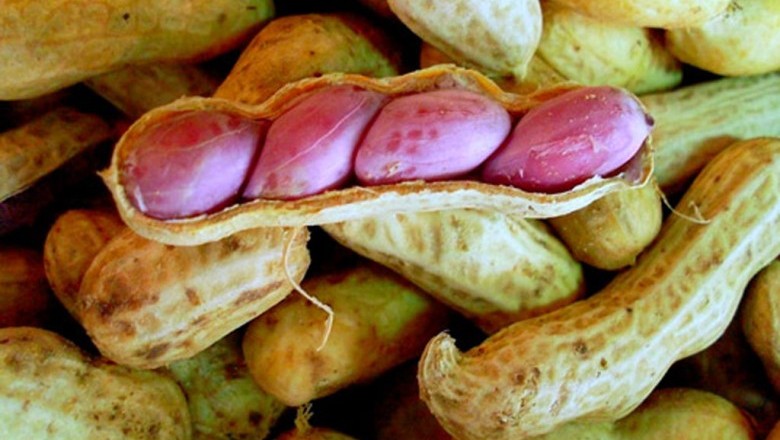 อันตรายของ อะฟลาท๊อกซิน