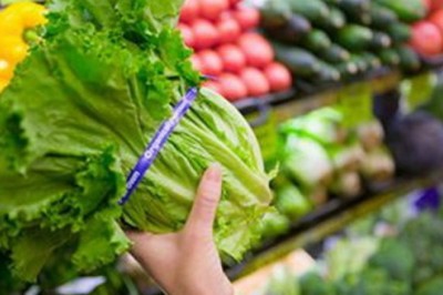 วิธีเลือกซื้อผักสด