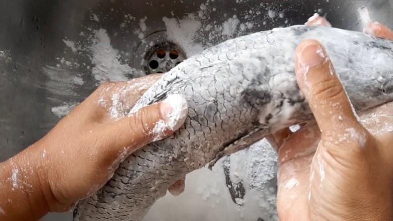 วิธีขจัดเมือกปลา