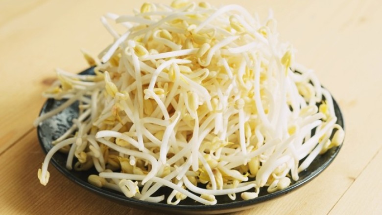 วิธีเก็บถั่วงอกให้คงความสดกรอบ