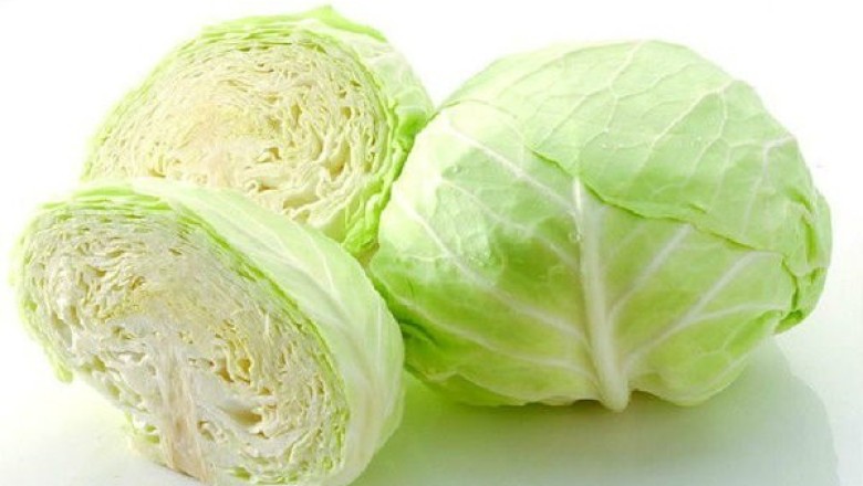 กะหล่ำปลี สรรพคุณและประโยชน์
