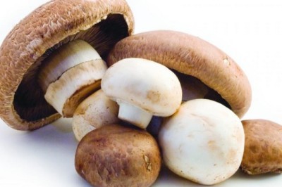 เก็บเห็ดให้คงความสดนานๆ