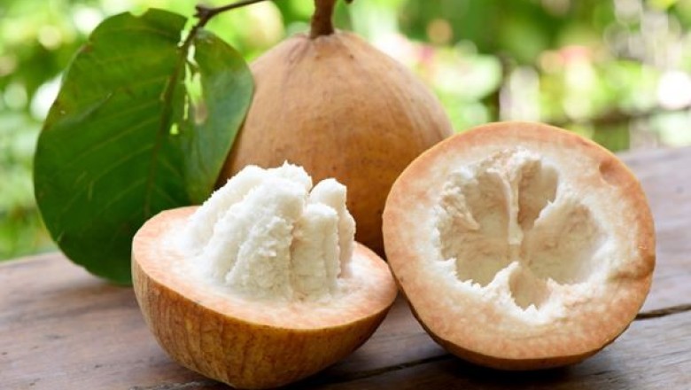 กระท้อน สรรพคุณและประโยชน์