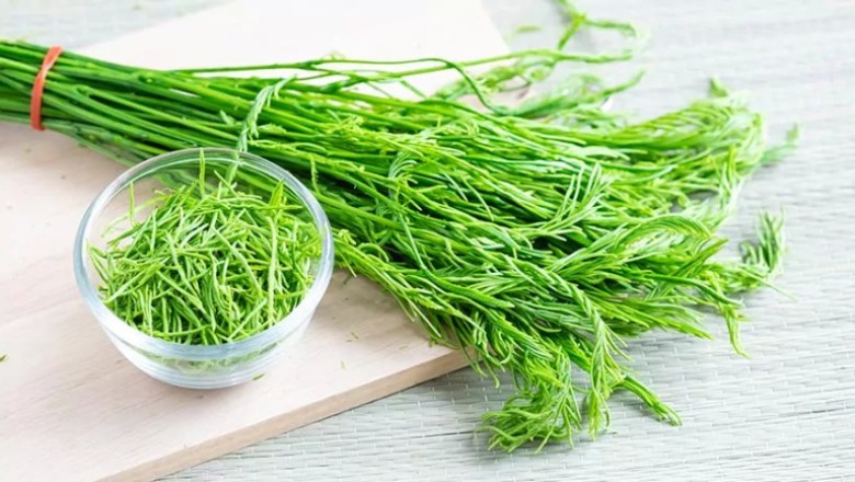 ชะอม สรรพคุณและประโยชน์