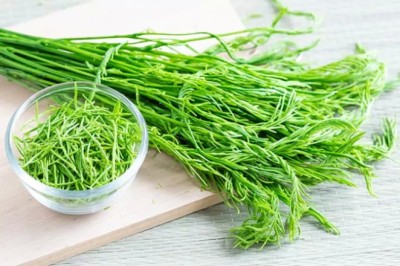 ชะอม สรรพคุณและประโยชน์