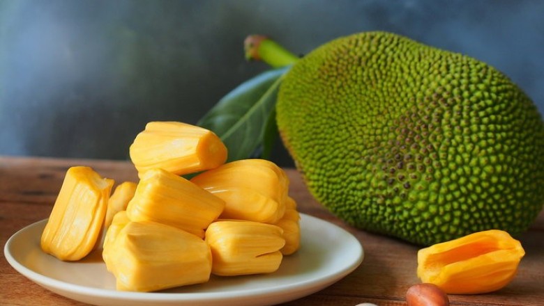 ขนุน สรรพคุณและประโยชน์