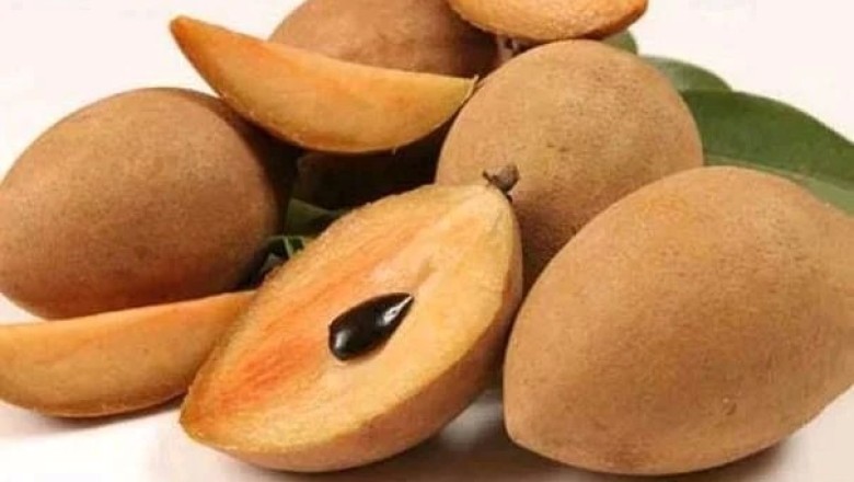 ละมุด สรรพคุณและประโยชน์