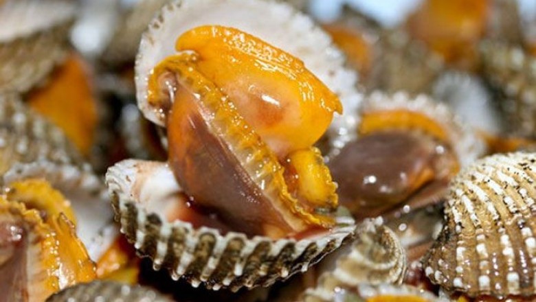 วิธีเลือกซื้อหอยสด