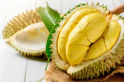 วิธีการเก็บทุเรียนให้อยู่ได้นาน