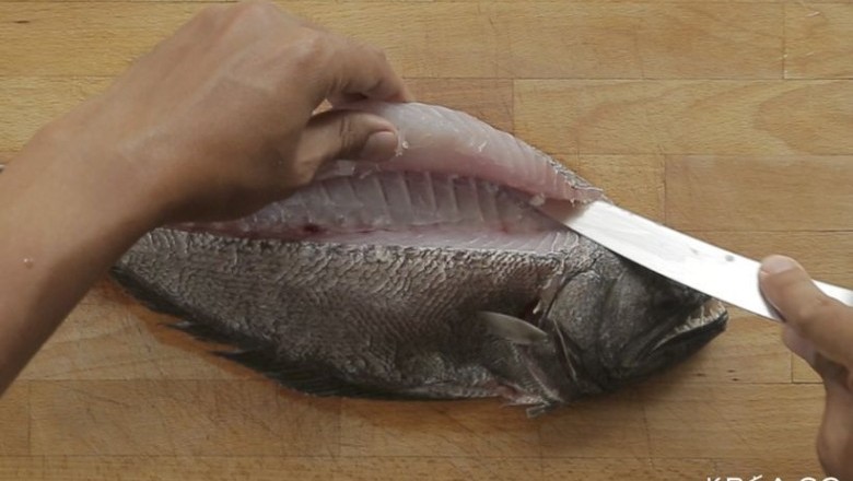 เคล็ดลับการแล่เนื้อปลา