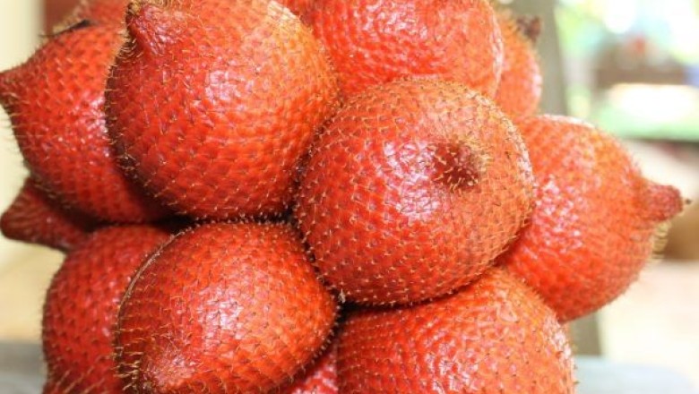 ระกำ สรรพคุณและประโยชน์