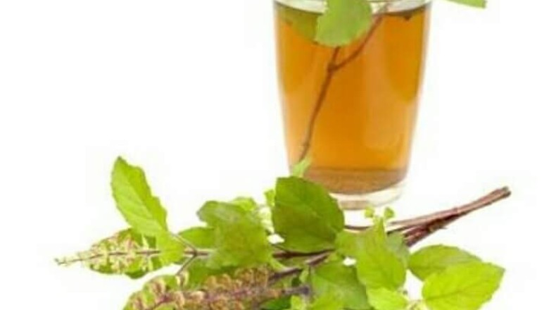 น้ำกะเพราแดง เครื่องดื่ม