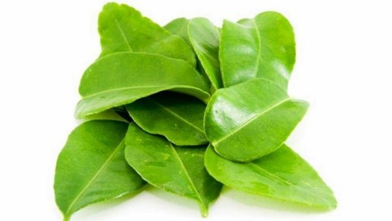 อยากได้ข้าวสะอาดห้ามพลาดใบมะกรูด