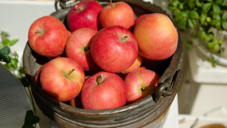 แอปเปิ้ลช่วยดับกลิ่น