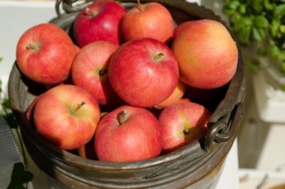 แอปเปิ้ลช่วยดับกลิ่น