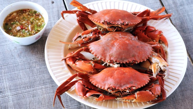 วิธีการเลือกซื้อปูทะเล