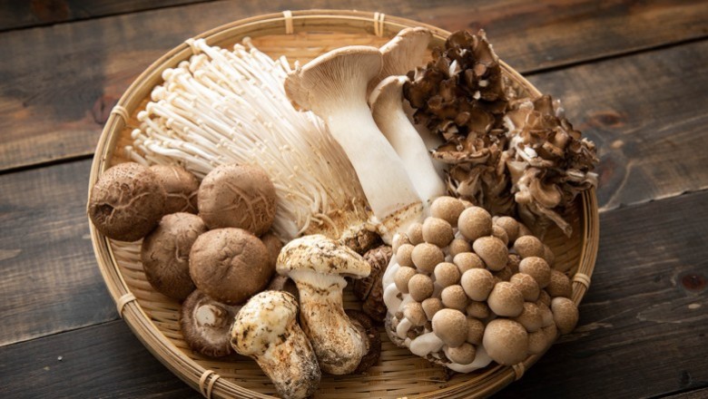 ประโยชน์โดนๆ ของเห็ด