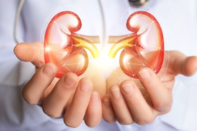 กินอย่างไรรักษาไตให้แข็งแรง