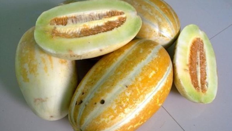 อีคิวดีเพราะมีแตงไทย