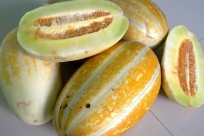 อีคิวดีเพราะมีแตงไทย