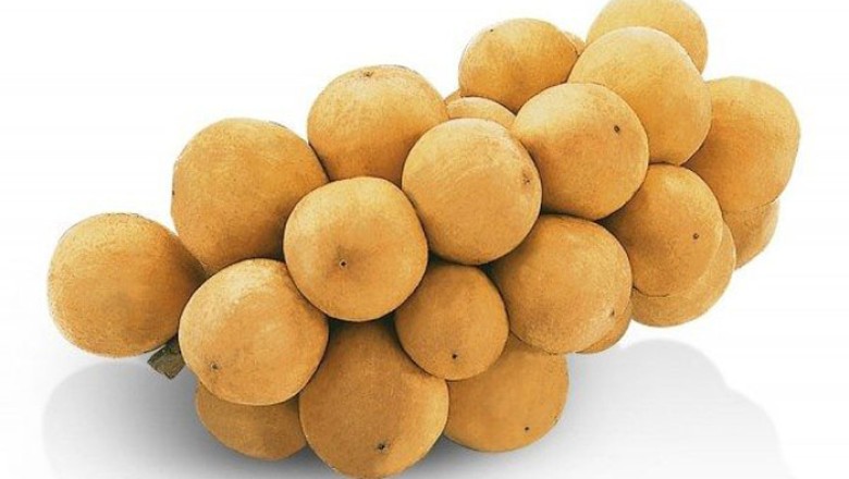 ลองกอง สรรพคุณและประโยชน์