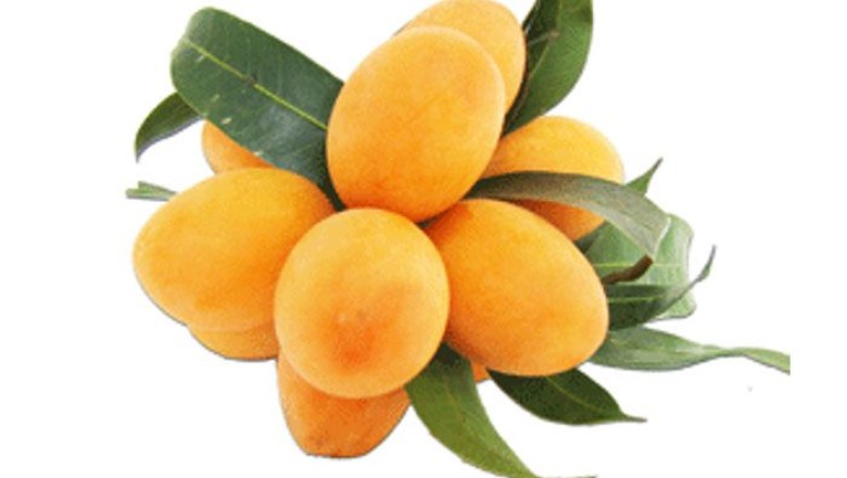 มะปราง สรรพคุณและประโยชน์