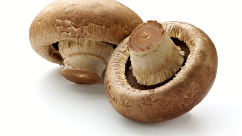 เห็ดหอมยาอายุวัฒนะของจีน