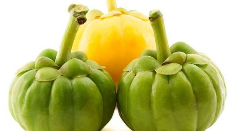 สุดยอดตัวช่วยสลายไขมันให้คุณผอมทันใจยิ่งขึ้น