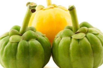 สุดยอดตัวช่วยสลายไขมันให้คุณผอมทันใจยิ่งขึ้น