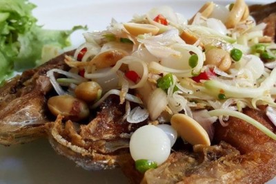 ปลาสำลีทอดราดยำมะม่วง อาหารจานเดียว