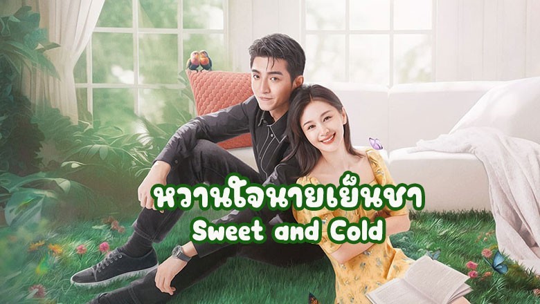 ซีรี่ย์จีน หวานใจนายเย็นชา Sweet and Cold ซับไทย EP.1-31 จบ