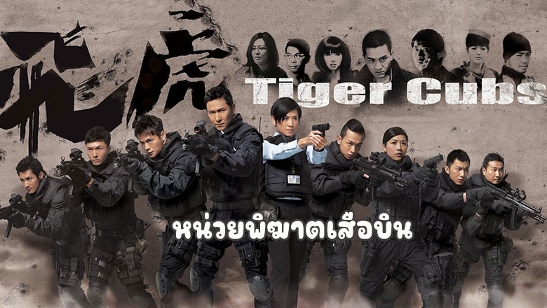 ซีรี่ย์จีน หน่วยพิฆาตเสือบิน (ทีมพยัคฆ์อหังการ 1) Tiger Cubs 1 พากย์ไทย EP.1-13 จบ