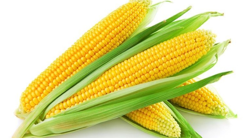 ข้าวโพดกินแล้วไม่อ้วน