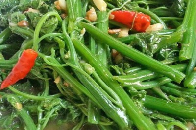 ผัดยอดฟักแม้ว อาหารจานเดียว