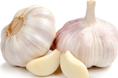 กระเทียมช่วยยับยั้งแบคทีเรีย