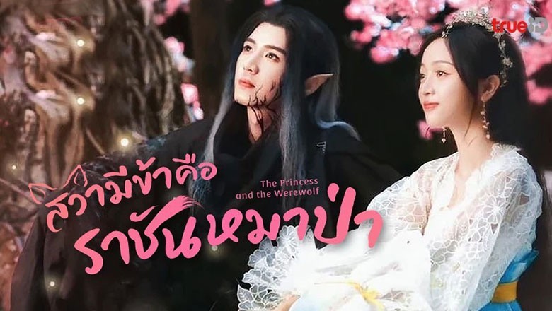 ซีรี่ย์จีน สวามีข้าคือราชันหมาป่า  The Princess and the Werewolf พากย์ไทย EP.1-30 จบ