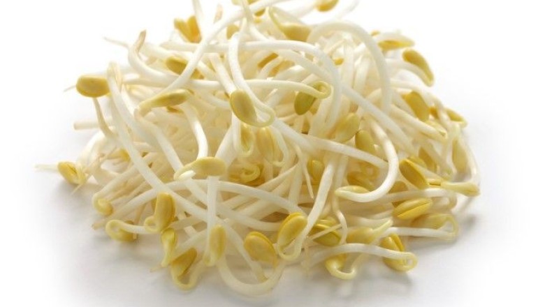 ถั่วงอกหาทานง่ายช่วยสลายความแก่