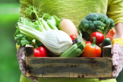 ออร์แกนิกผักดีๆ ที่ไม่ควรมองข้าม