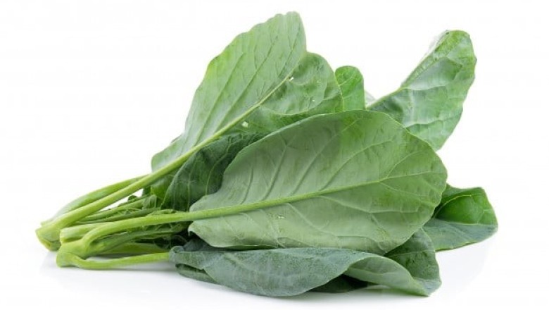 คะน้า ผักใบเขียวมากประโยชน์