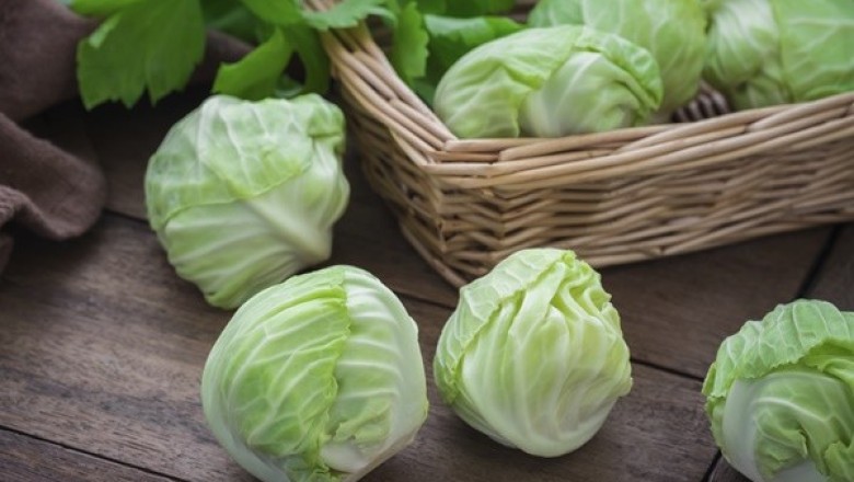 กะหล่ำดาว ผักอินเทรนด์ มากประโยชน์
