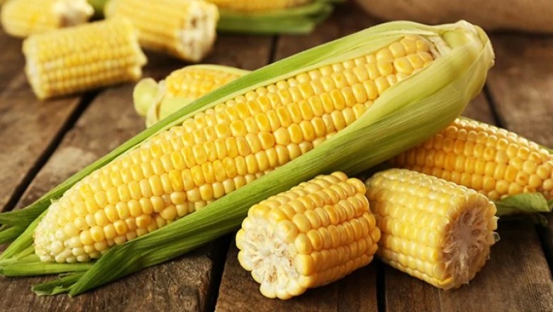 ข้าวโพดคุณค่ามาเป็นฝัก