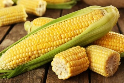 ข้าวโพดคุณค่ามาเป็นฝัก